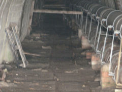 
ADWB pipeline tunnel, Coity, March 2011